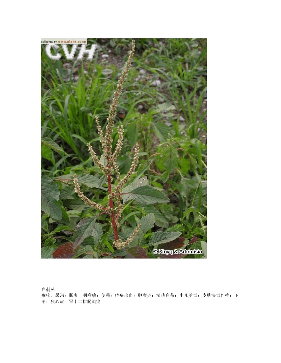 中草药新医疗法处方集_第2页