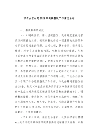 市农业农村局2024年巡察整改工作情况总结
