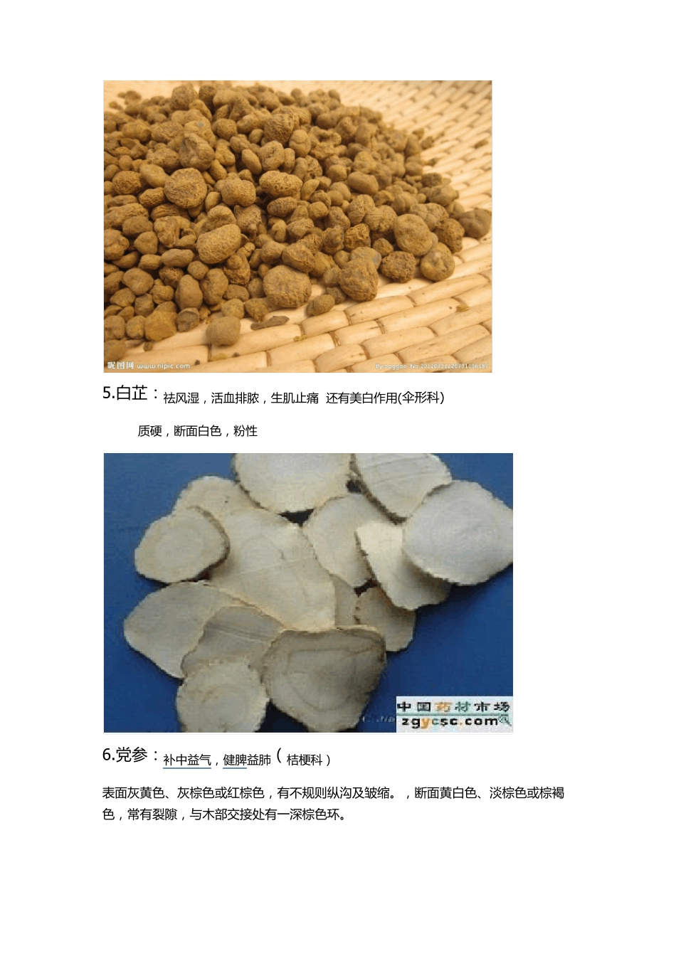 中药饮片及名称_第3页