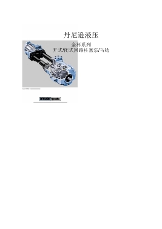 丹尼逊柱塞泵,马达样本