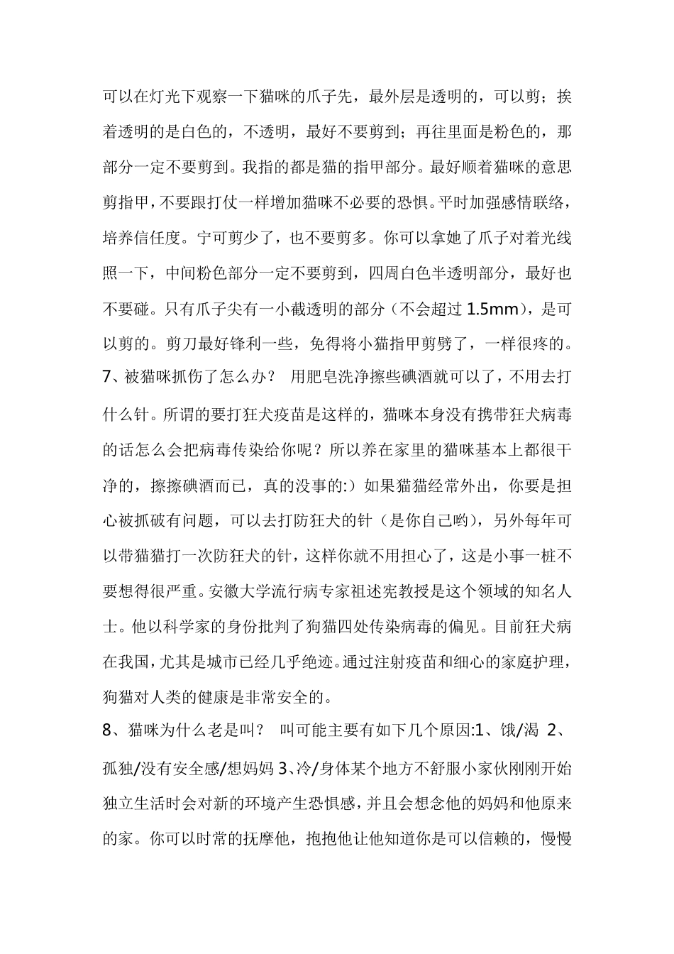 养猫注意事项_第3页