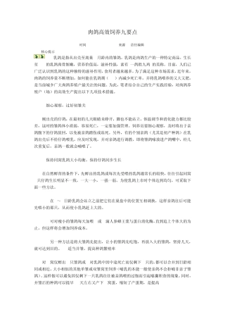 养白鸽的方法