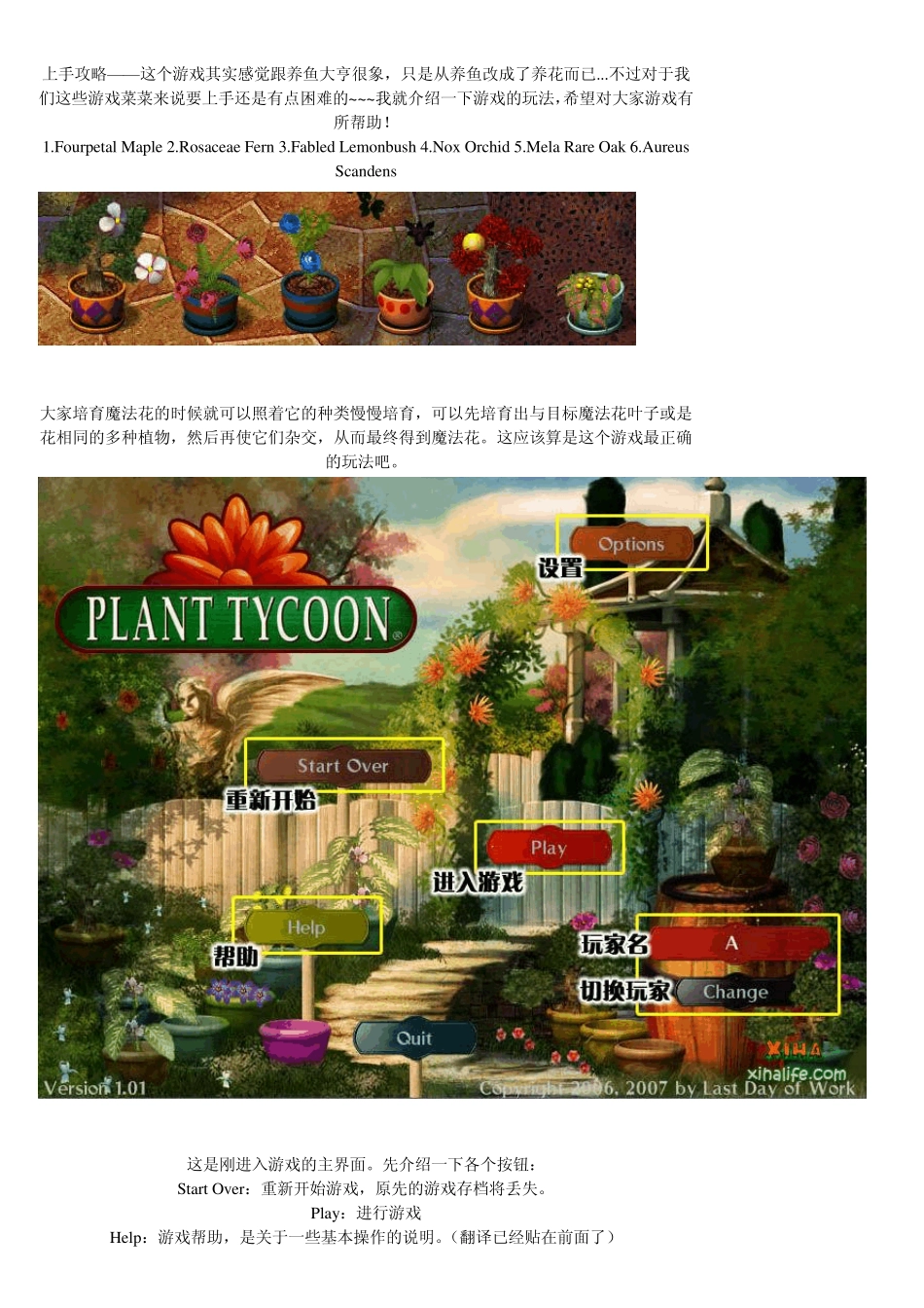 养花大亨上手攻略_第1页