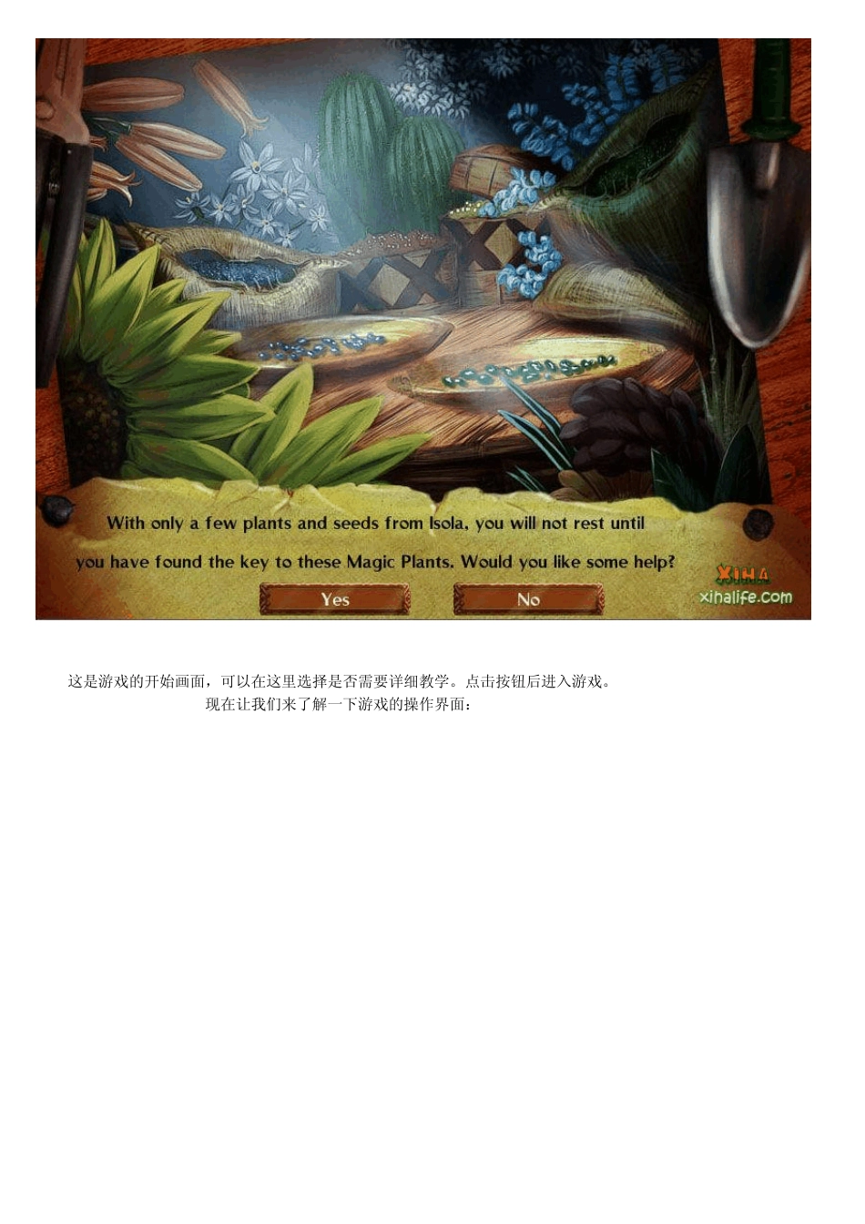 养花大亨上手攻略_第3页