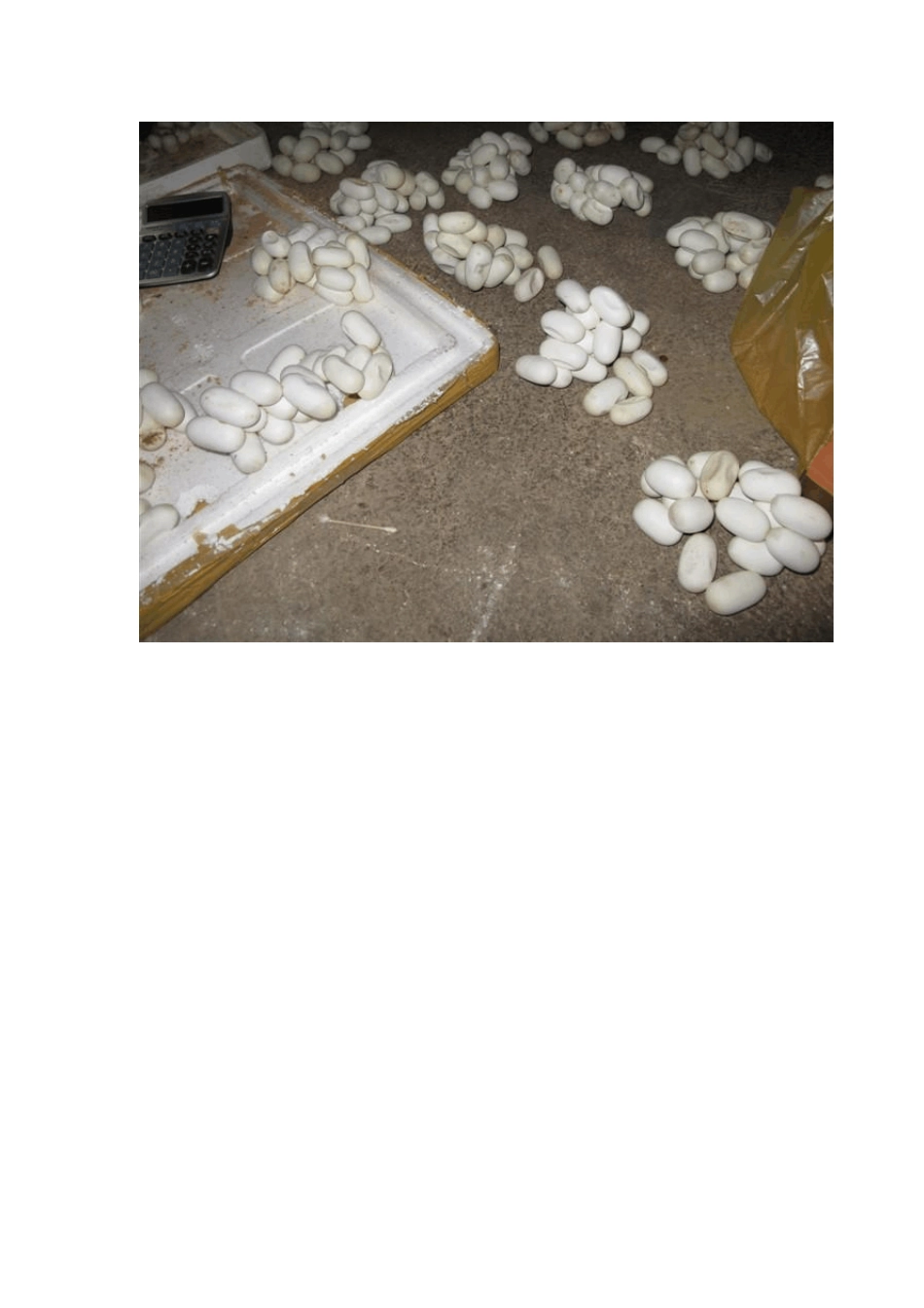 养蛇新手必看资料_第3页