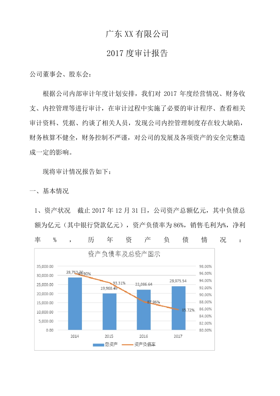 内部审计报告_第1页