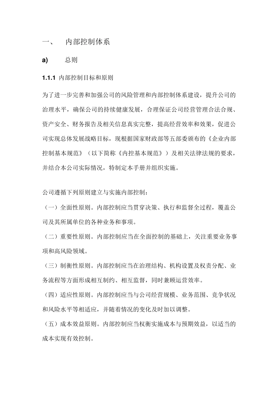 内部控制体系_第1页