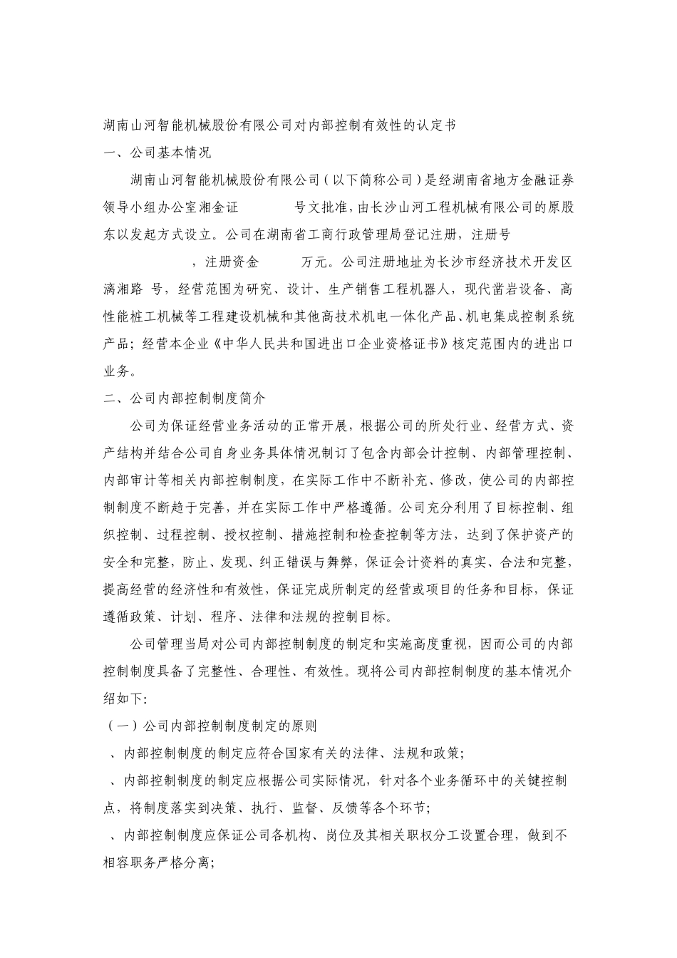 内部控制审核报告_第2页