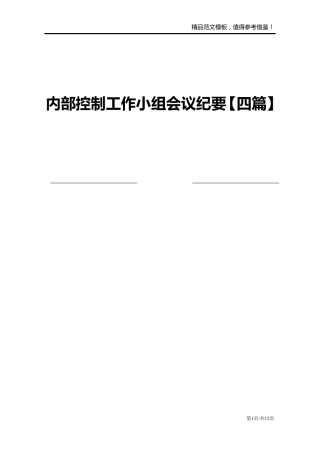 内部控制工作小组会议纪要[四篇]