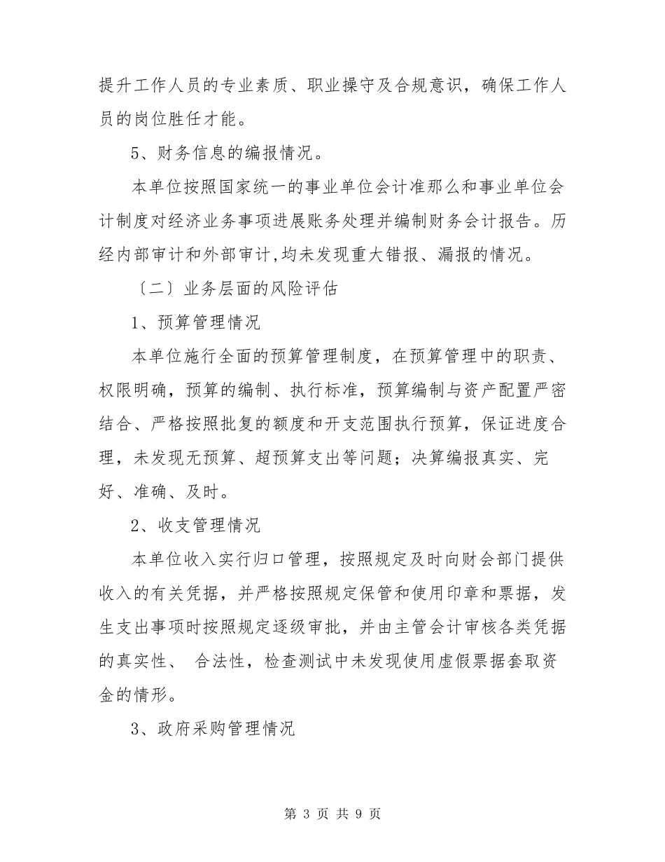 内部控制风险评估报告_第3页