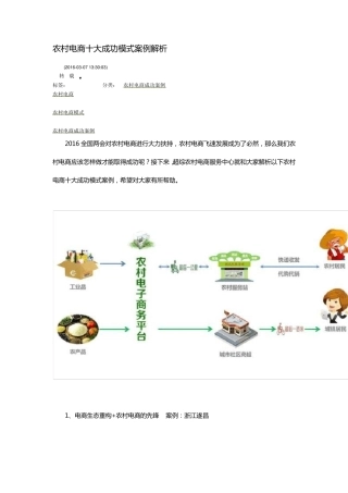 农村电商十大成功模式案例解析