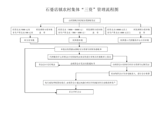 农村集体“三资管理”等流程图