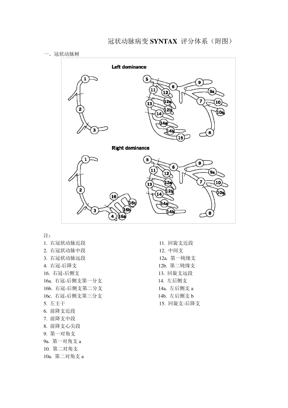 冠脉病变SYNTAX评分,值得收藏(附图)_第1页