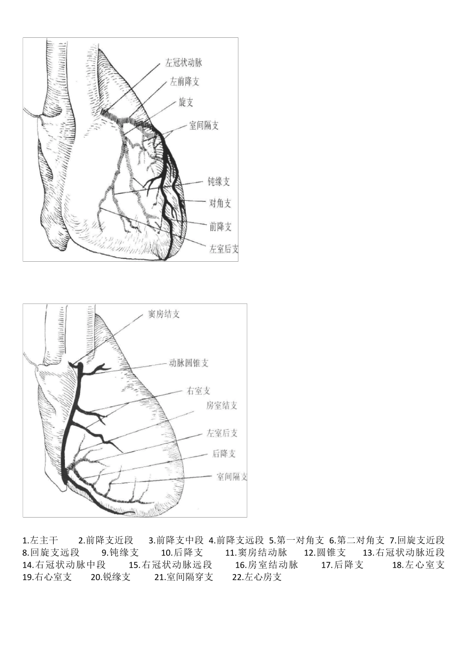 冠脉造影影像解析_第2页