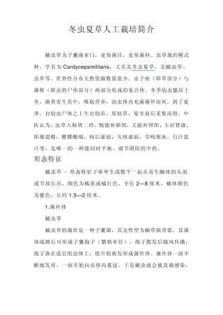 冬虫夏草人工栽培简介