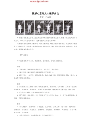 冯志强图解心意混元太极拳内功