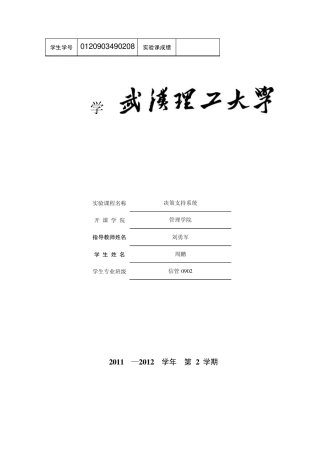 决策支持系统DSS实验报告
