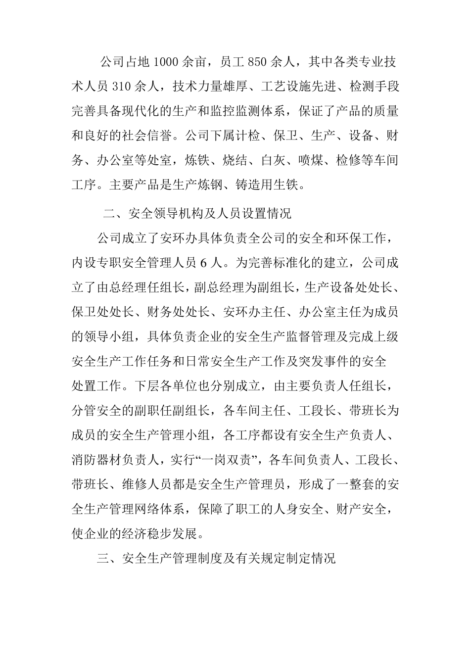 冶金企业安全标准化自评报告_第3页