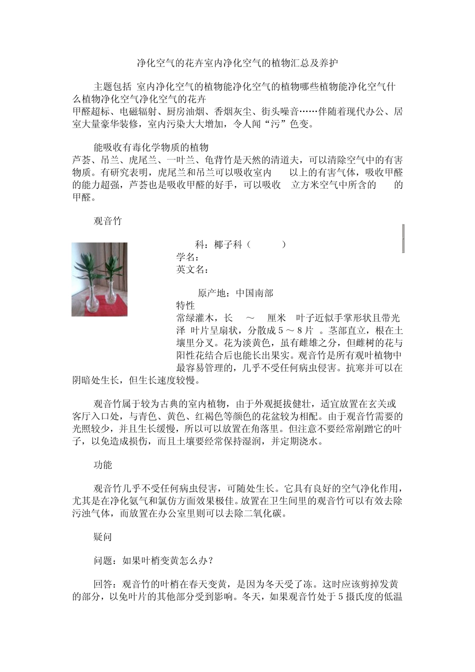净化空气的花卉室内净化空气的植物汇总_第1页