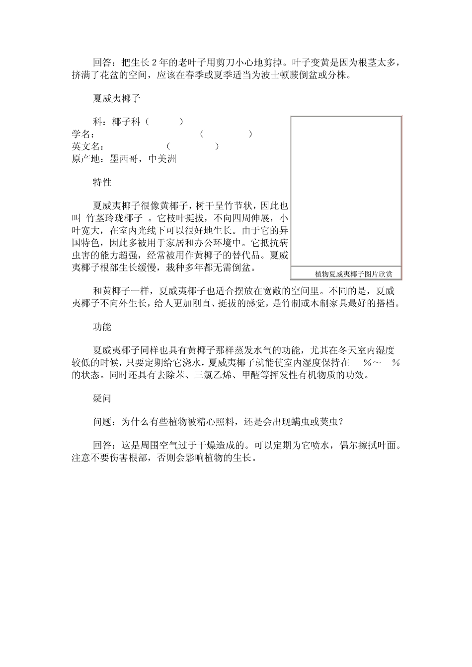 净化空气的花卉室内净化空气的植物汇总_第3页