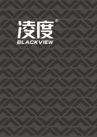 凌度BL330行车记录仪中文参数与说明书
