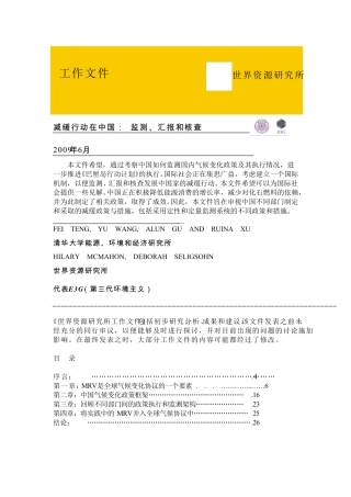 减缓行动在中国MRV