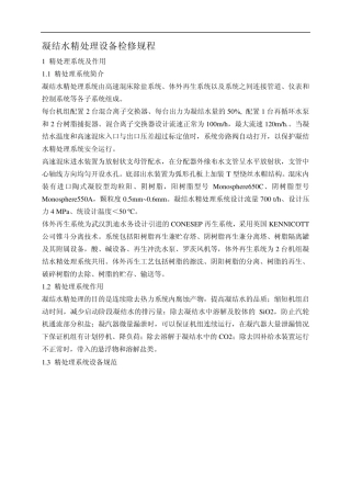 凝结水精处理设备检修规程