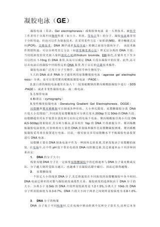 凝胶电泳相关知识