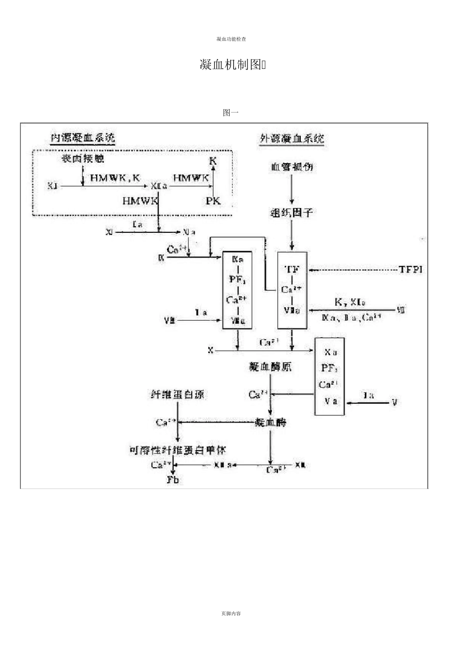 凝血机制含图解_第3页
