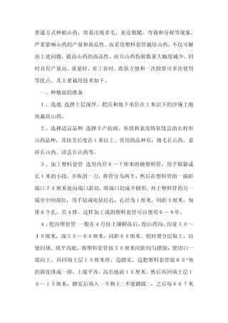 几种不同方式种植山药