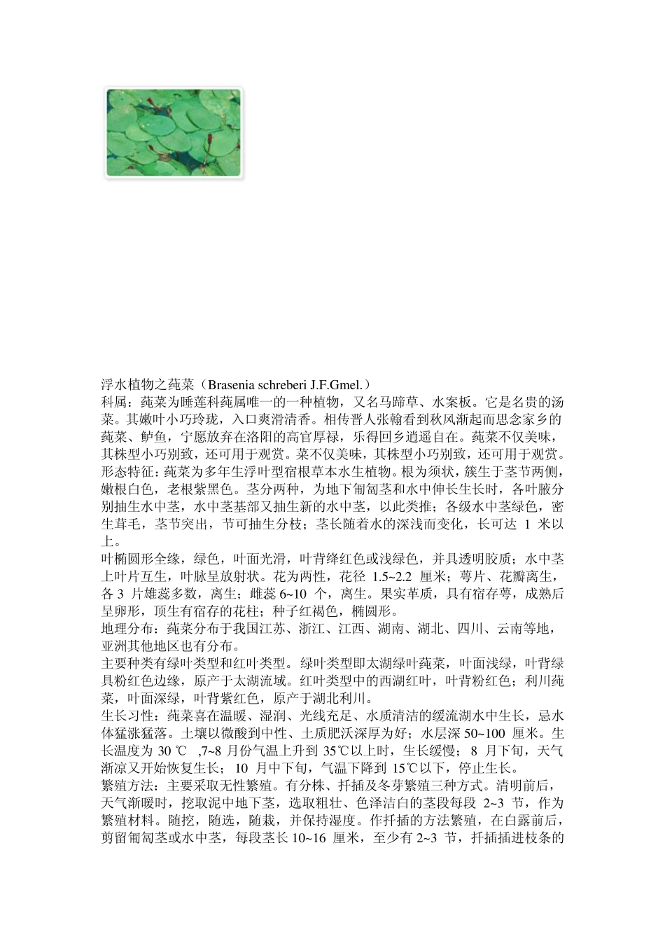 几种常见的水生植物(附图)_第2页