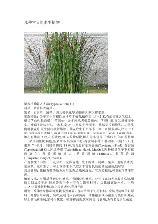 几种常见的水生植物(附图)