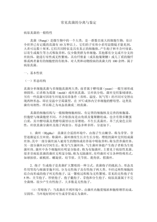 几种真菌的分离与鉴定