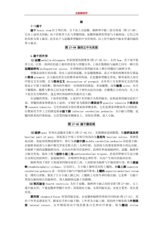 图1739脑的正中矢状面