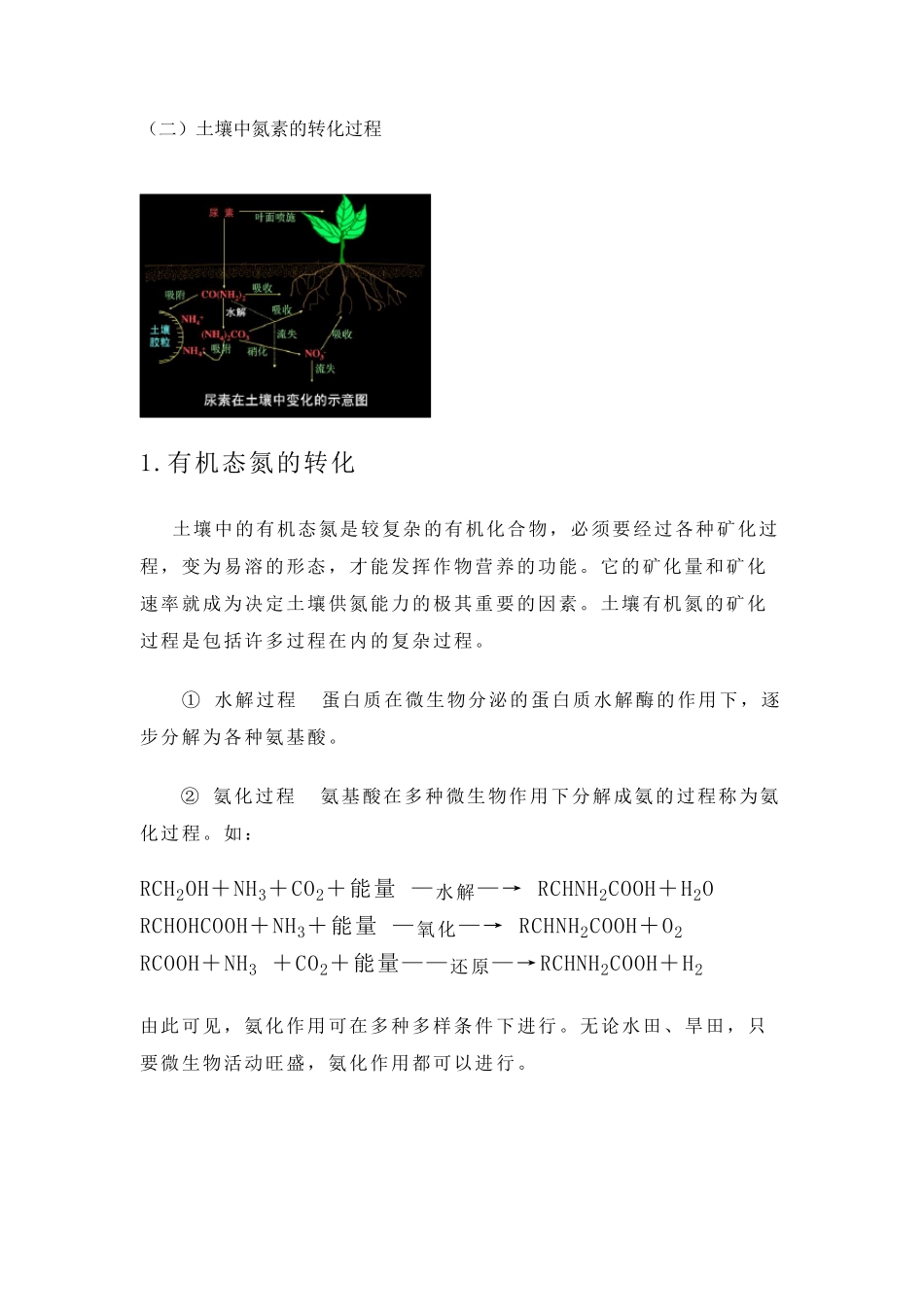 土壤中氮素转化过程及植物吸收方式(土壤部分初稿)_第2页