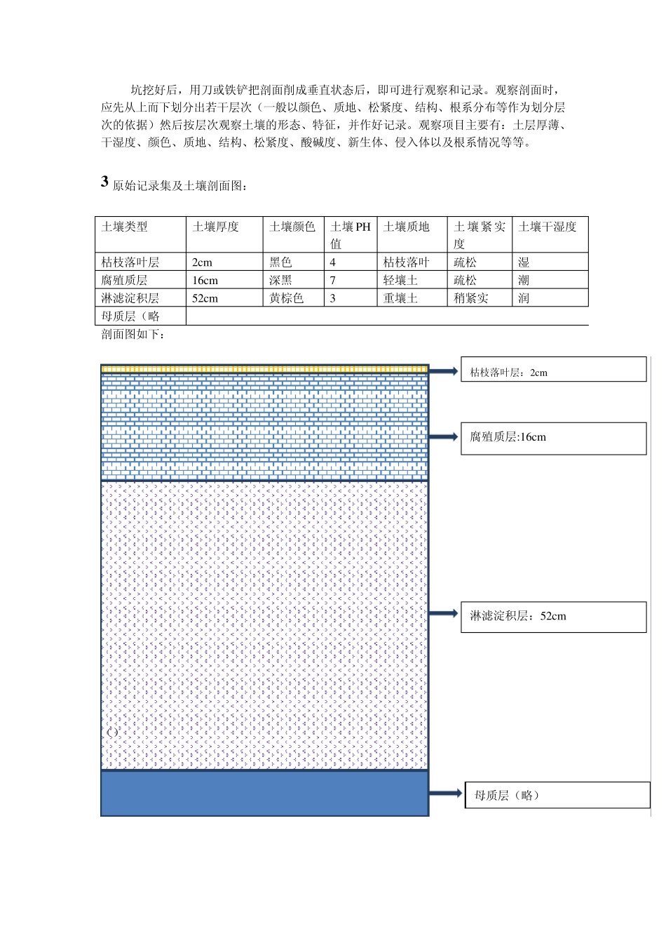 土壤学实习报告_第3页