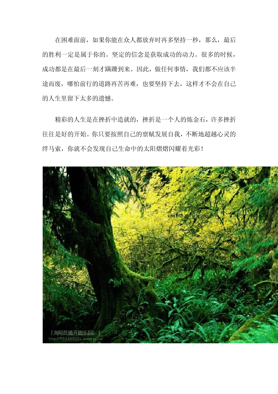 在人生的旅途中_第3页