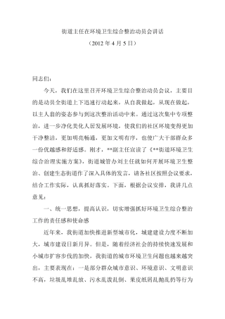 在环境卫生综合整治动员会上的讲话