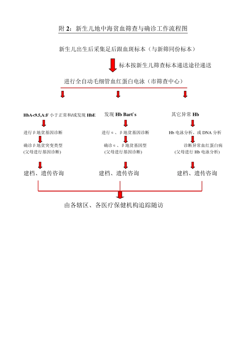 地中海贫血病诊断与治疗规范_第2页