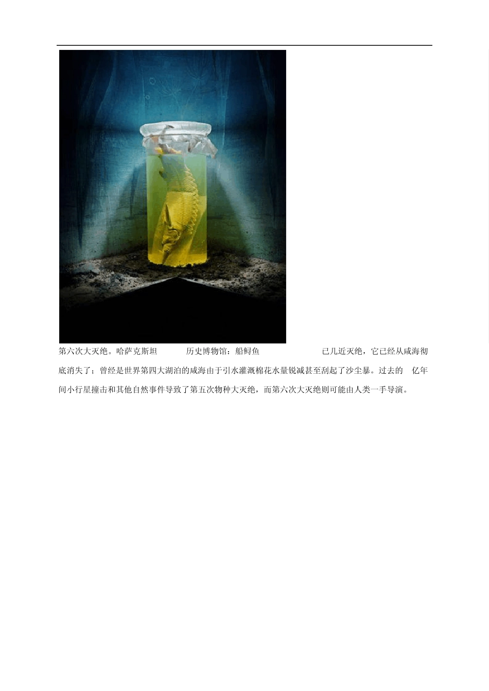 地球进入“人类世”(Anthropocene)_第3页