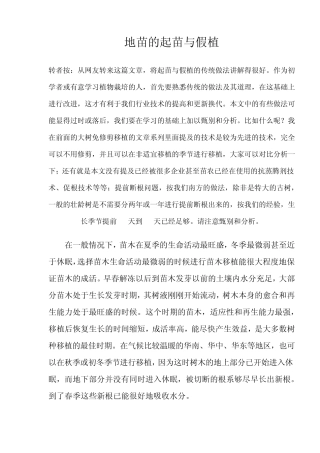 地苗的起苗与假植