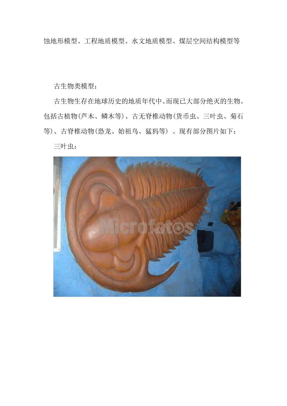 地质构造类型_第3页