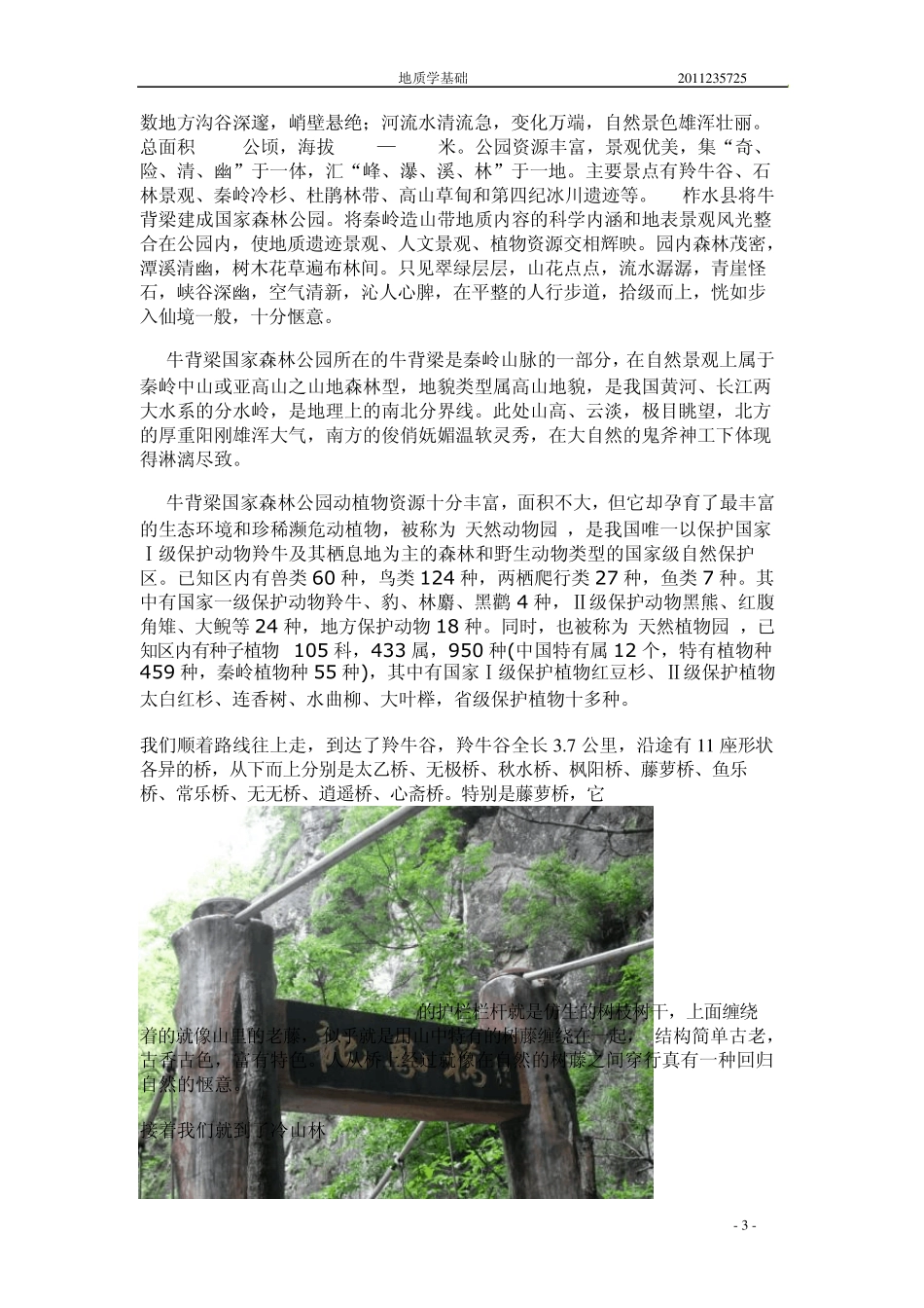 地质野外实习报告_第3页