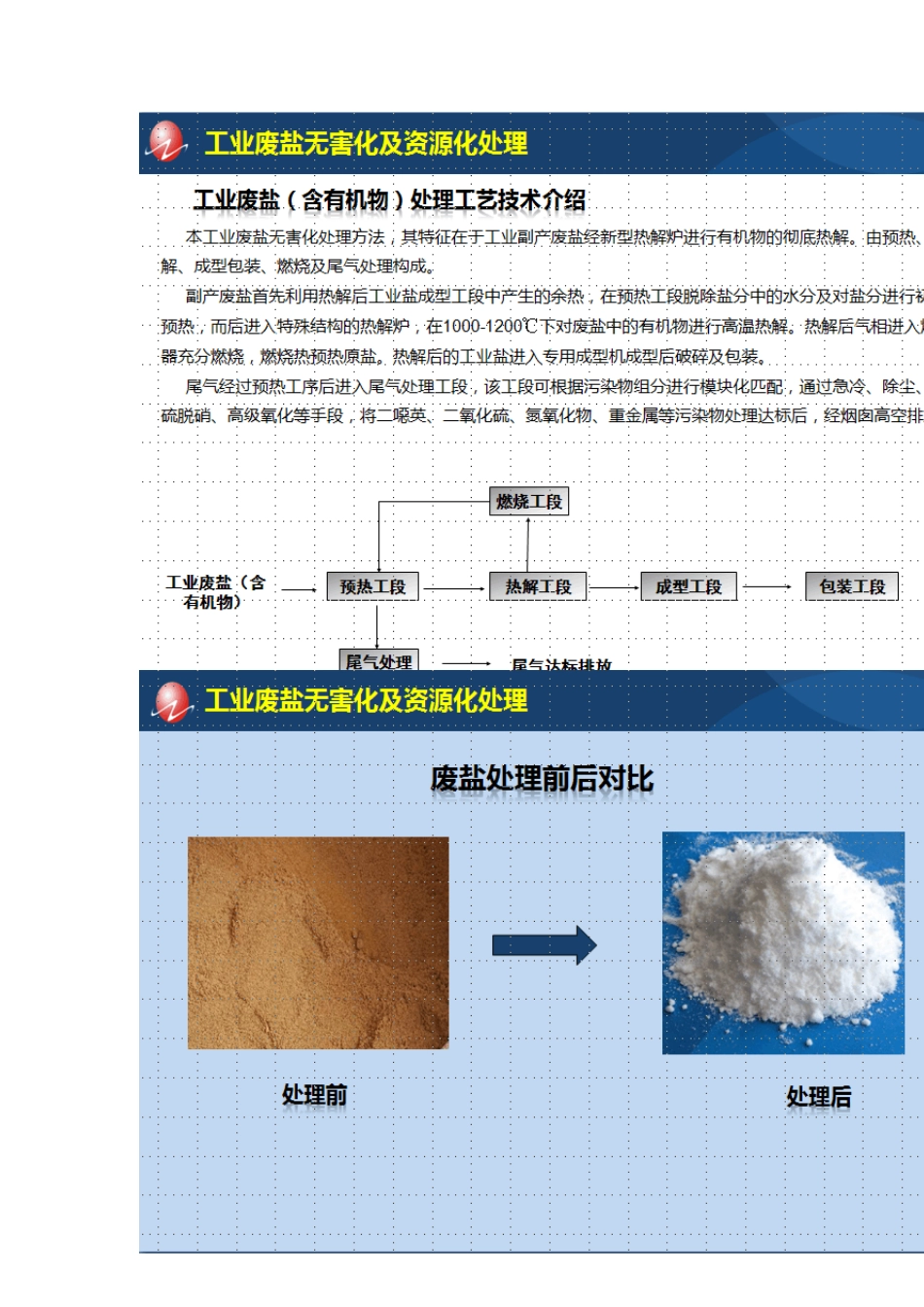 工业副产废盐资源化处理项目认定为国家“鼓励”项目_第3页