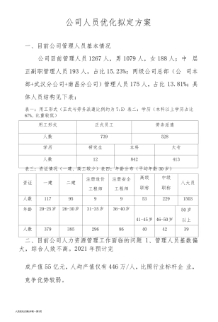 人员优化方案(共享)