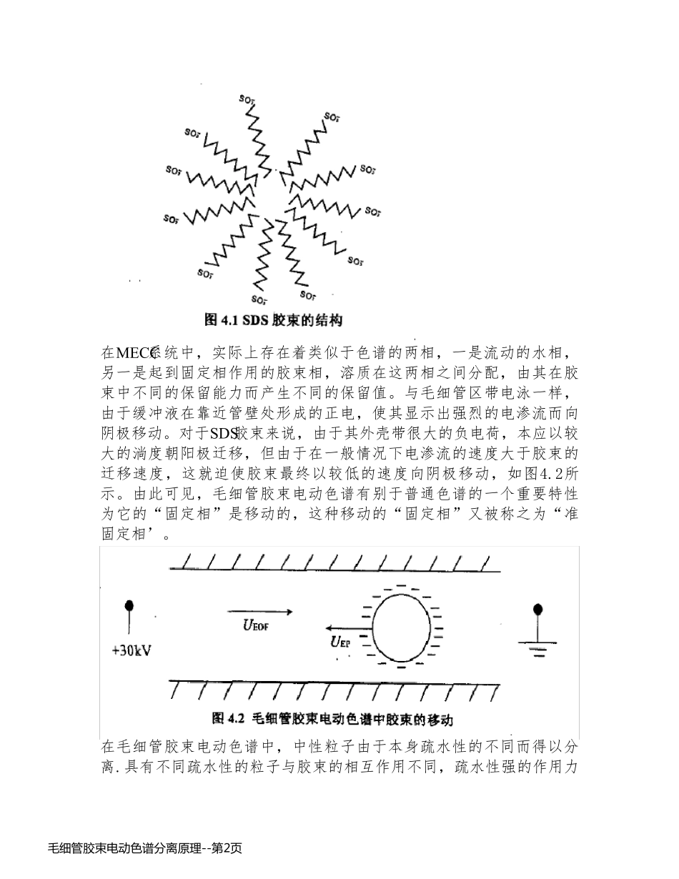 毛细管胶束电动色谱分离原理_第2页