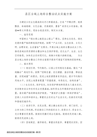 县区全域土地综合整治试点实施方案