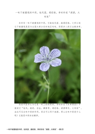 一味不被重视的中药，祛风湿，通经络，李时珍说“浸酒，大有效”