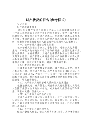 财产状况的报告(参考样式)