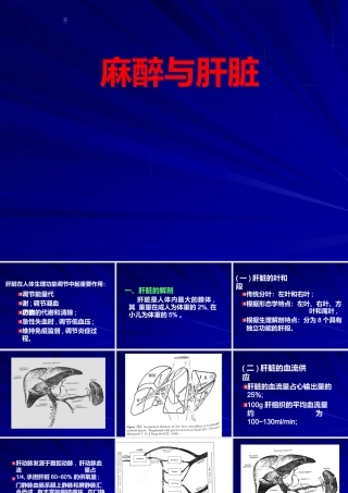 麻醉与肝脏课件